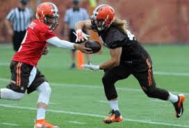 Cleveland Browns have released former NAIA running back Luke Lundy