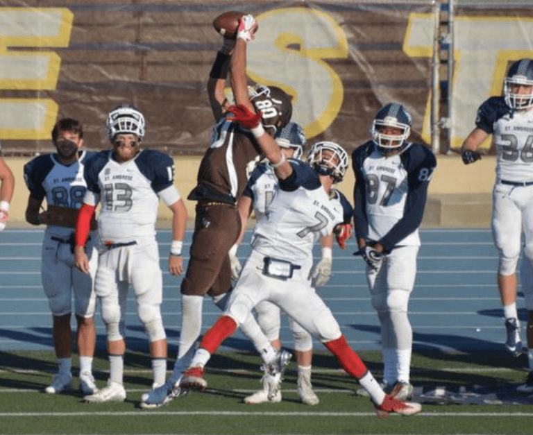 Meet 2020 NFL Draft Prospect: Brandon Ruffin, WR, St. Francis (IL)