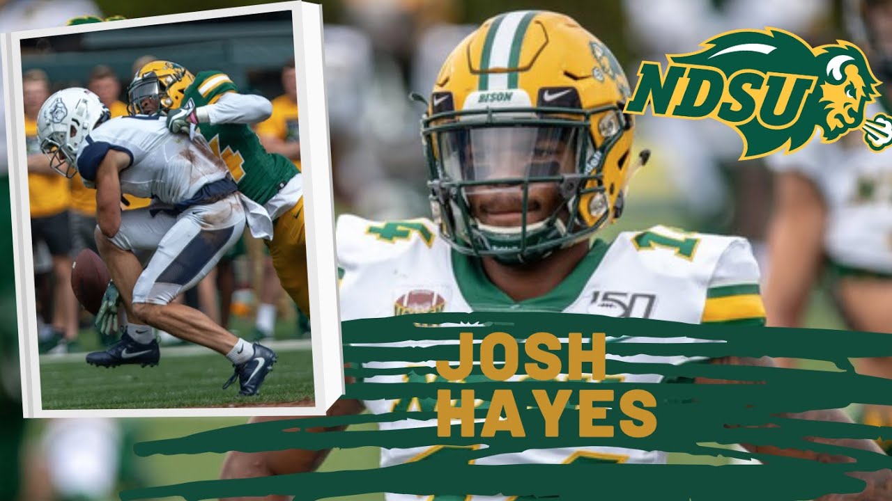 Josh Hayes
