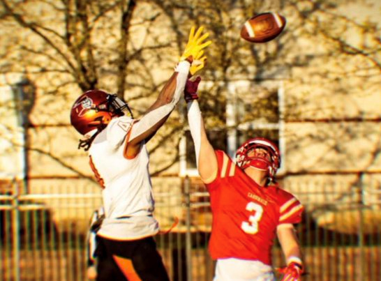 Heidelberg University playmaker Dimitri Penick recently sat down with NFL Draft Diamonds writer Justin Berendzen. Check it out.