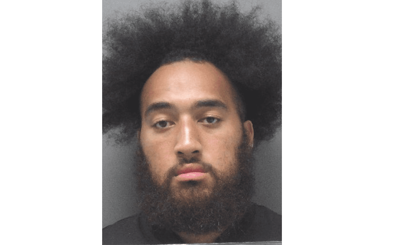 Louisiana-Monroe football player Stacey Wilkins arrested on domestic battery charge