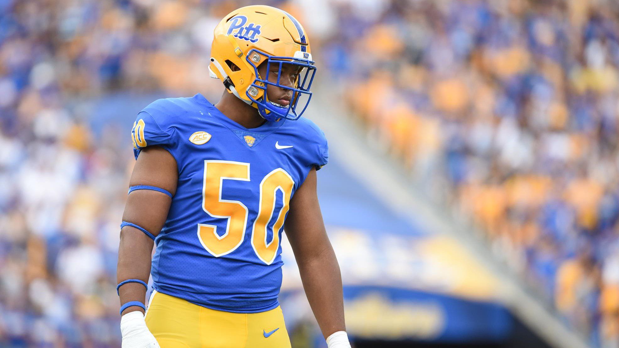 Pitt football player Dayon Hayes was arrested in a domestic incident and charged with assault