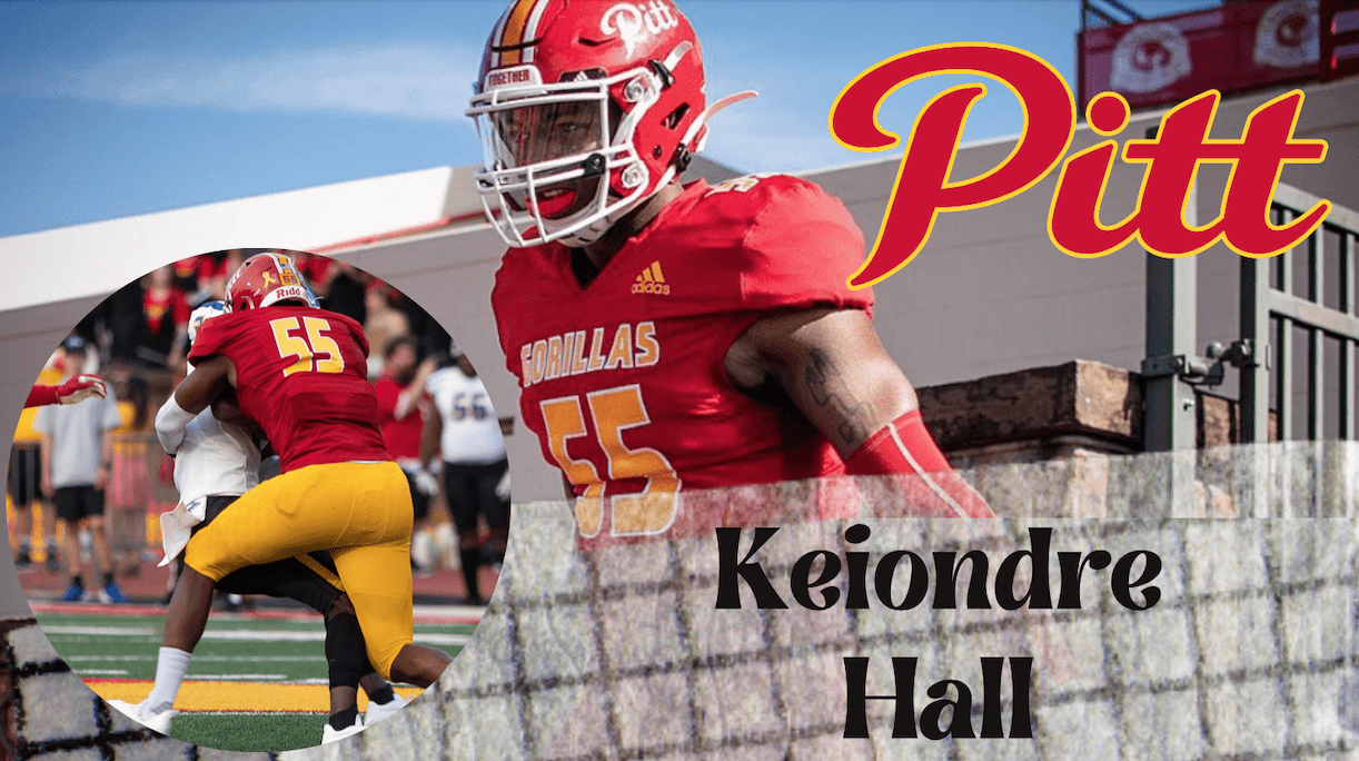 Keiondre Hall the standout defensive lineman from Pittsburg State recently sat down with NFL Draft Diamonds writer Jimmy Williams for this exclusive Zoom Interview. Check it out and make sure you hit the like and subscribe button below.