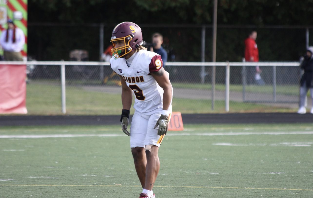 Chris Farnsworth, DB, Gannon University
