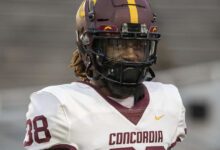 Dawson Pierre the standout safety from Concordia University recently sat down with NFL Draft Diamonds owner Damond Talbot.