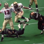Seven Players who had successful careers in both the NFL and the Arena Football League