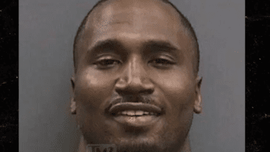 According to the Seminole Police Department, Dion Lewis was taken into custody by officers at around 2 PM at the Seminole Hard Rock Hotel & Casino Tampa after he had allegedly been unruly and belligerent. An SPD spokesperson said that Lewis had been accused of "causing a disturbance and refusing to leave the premises."
