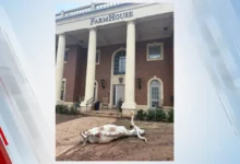 Police are looking for information after they found a dead Longhorn at OSU frat house before Big 12 game