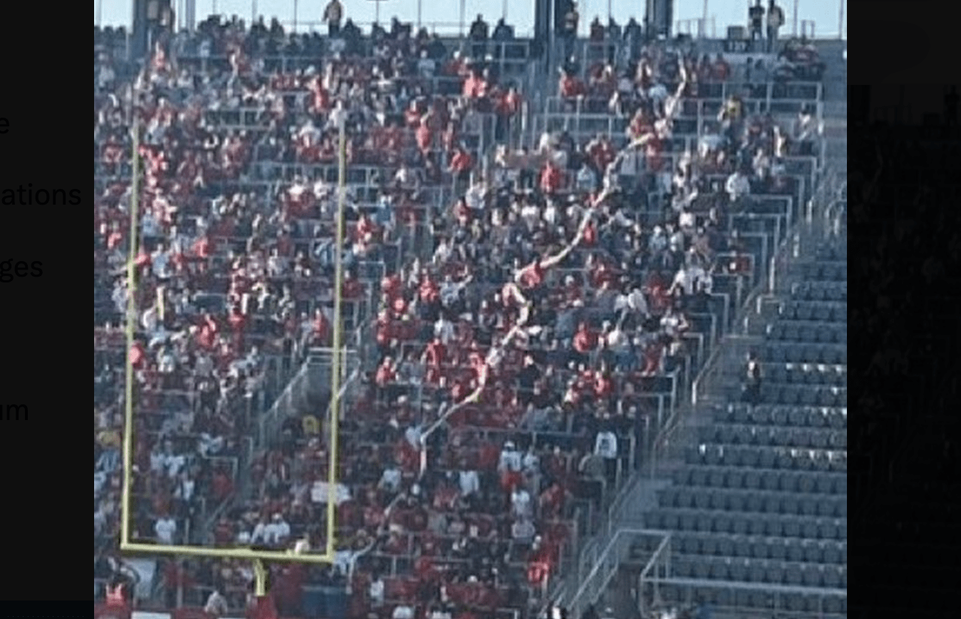 DC Defenders fans first beer snake of the season was phenomenally large