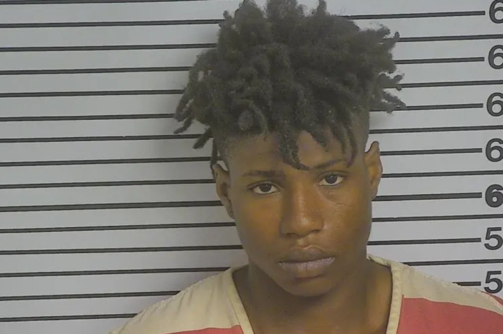Gardner was charged as an adult with one count of capital murder and one count of attempted armed carjacking. Green was also charged as an adult with one count of capital murder and one count of attempted armed carjacking.