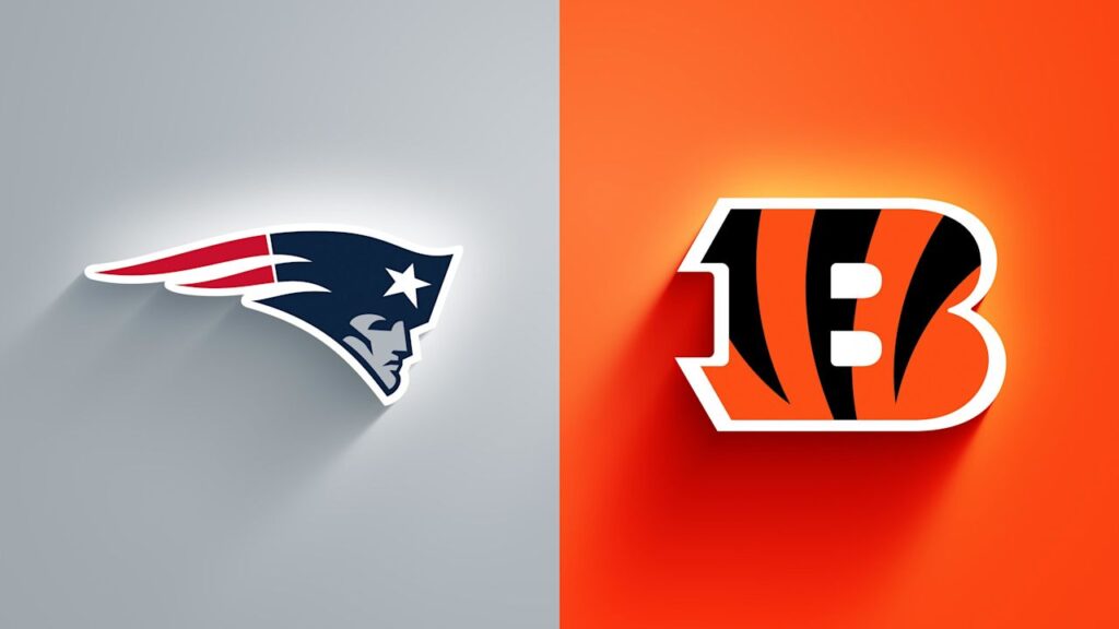 Patriots vs Bengals - Week 12 Preview & Prediction