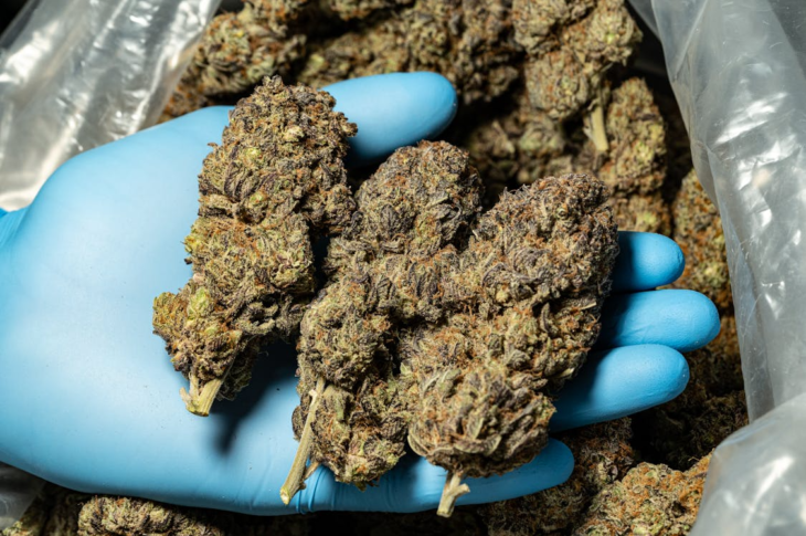 What Are the Benefits of Discreet Cannabis Shipping?