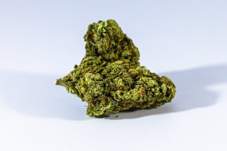 A golden cannabis extract with rich terpene content in a glass container